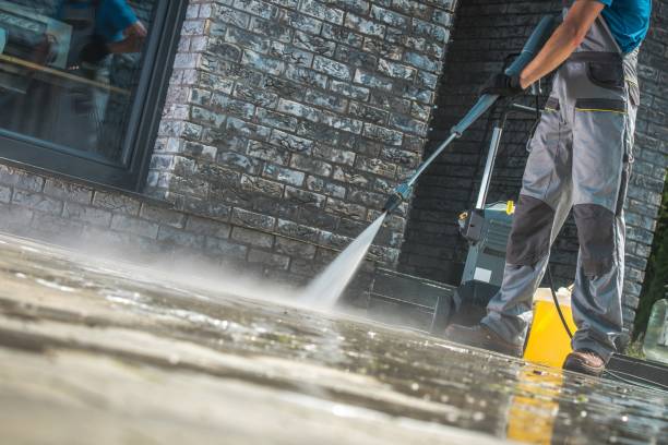 Best Driveway Pressure Washing  in Canton, TX