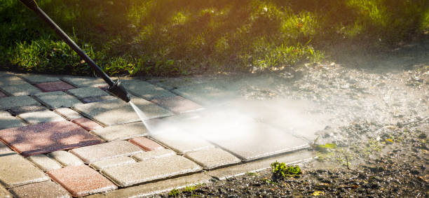 Best Animal Enclosure Cleaning  in Canton, TX