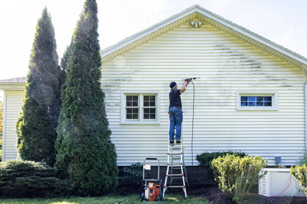 Best Dumpster Area Cleaning  in Canton, TX