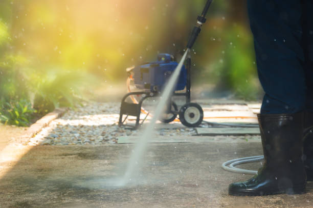 Best Solar Panel Cleaning  in Canton, TX
